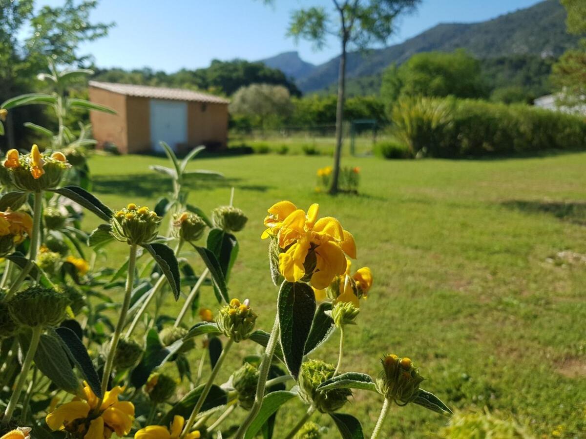 En Provence, Luberon, Villa Avec Piscine A Maubec Eksteriør bilde